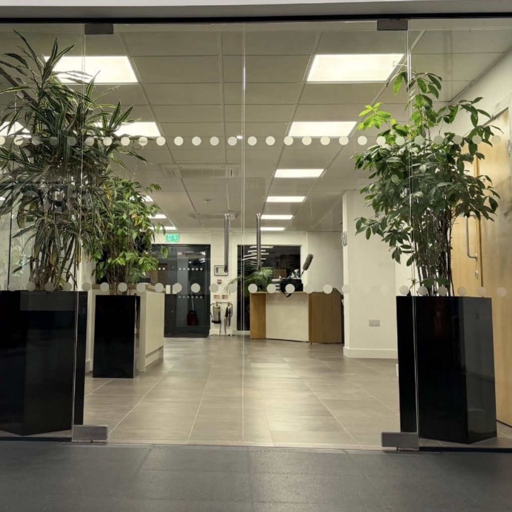 eco-friendly cleaning solution in spray bottle